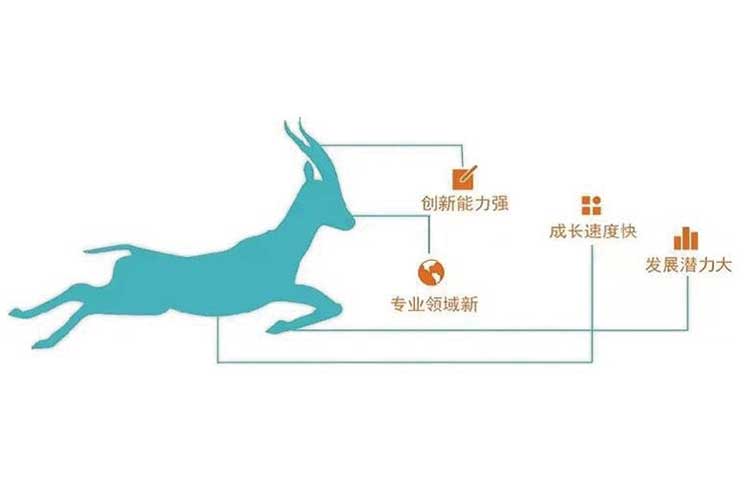 萊恩光電通過2022年度山東省瞪羚企業(yè)評審